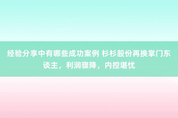 经验分享中有哪些成功案例 杉杉股份再换掌门东谈主，利润骤降，内控堪忧