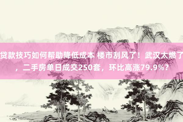 贷款技巧如何帮助降低成本 楼市刮风了！武汉太燃了，二手房单日成交250套，环比高涨79.9%？