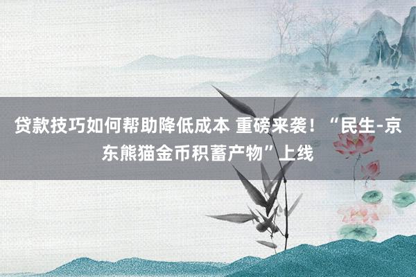 贷款技巧如何帮助降低成本 重磅来袭！“民生-京东熊猫金币积蓄产物”上线