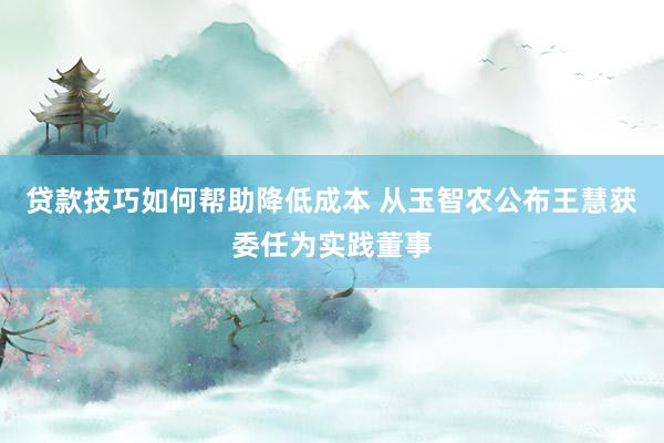 贷款技巧如何帮助降低成本 从玉智农公布王慧获委任为实践董事