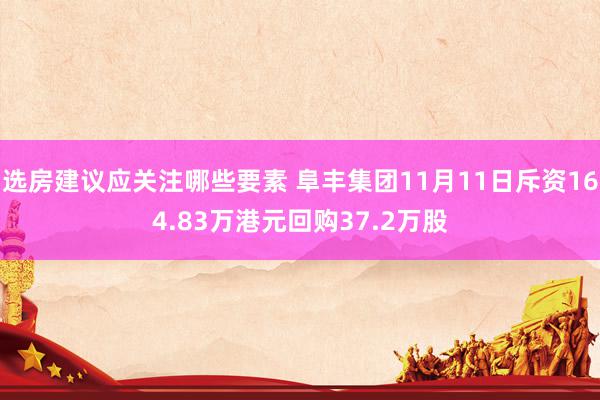 选房建议应关注哪些要素 阜丰集团11月11日斥资164.83万港元回购37.2万股