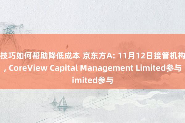 贷款技巧如何帮助降低成本 京东方A: 11月12日接管机构调研, CoreView Capital Management Limited参与