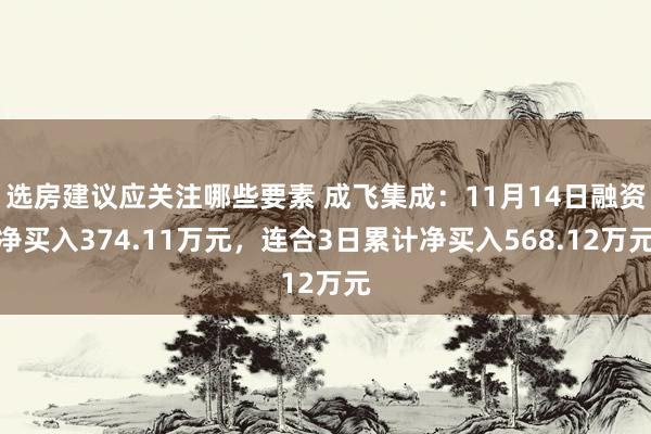 选房建议应关注哪些要素 成飞集成：11月14日融资净买入374.11万元，连合3日累计净买入568.12万元