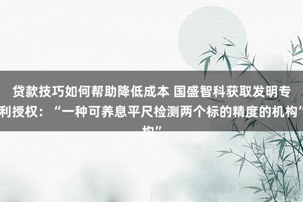 贷款技巧如何帮助降低成本 国盛智科获取发明专利授权：“一种可养息平尺检测两个标的精度的机构”