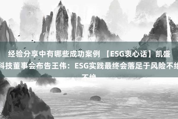 经验分享中有哪些成功案例 【ESG衷心话】凯盛科技董事会布告王伟：ESG实践最终会落足于风险不绝