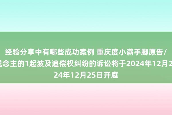 经验分享中有哪些成功案例 重庆度小满手脚原告/上诉东说念主的1起波及追偿权纠纷的诉讼将于2024年12月25日开庭