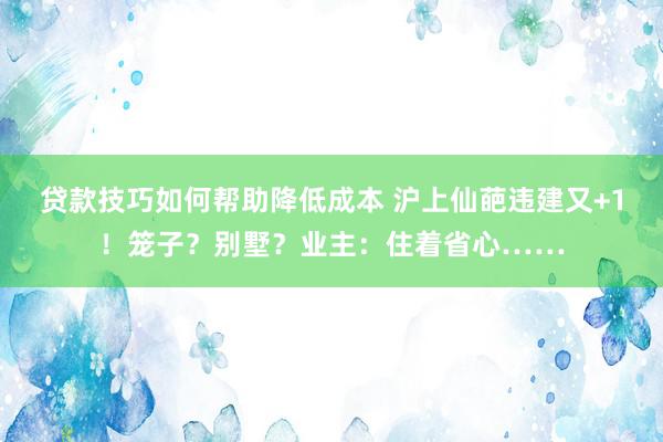 贷款技巧如何帮助降低成本 沪上仙葩违建又+1！笼子？别墅？业主：住着省心……