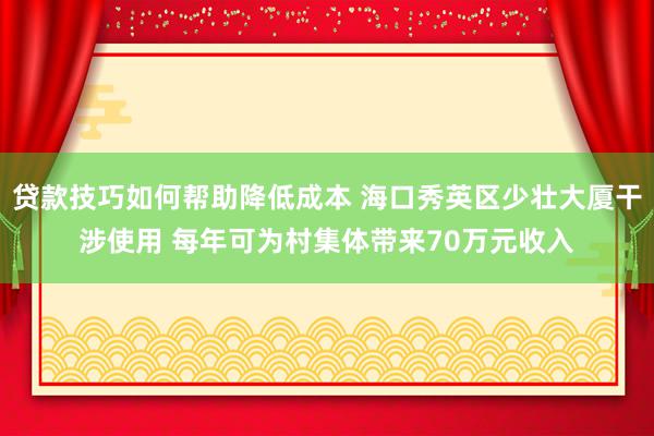 贷款技巧如何帮助降低成本 海口秀英区少壮大厦干涉使用 每年可为村集体带来70万元收入