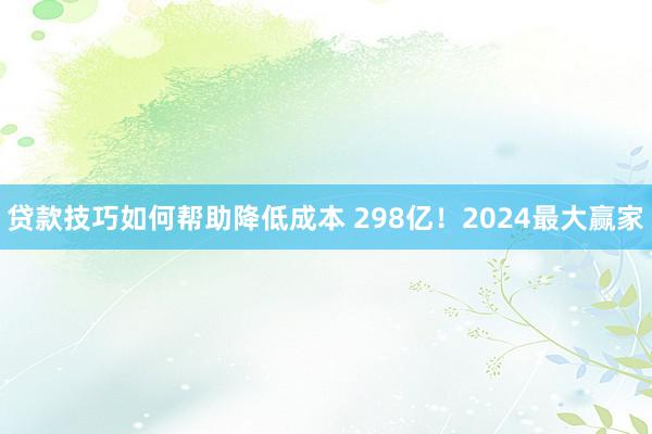 贷款技巧如何帮助降低成本 298亿！2024最大赢家