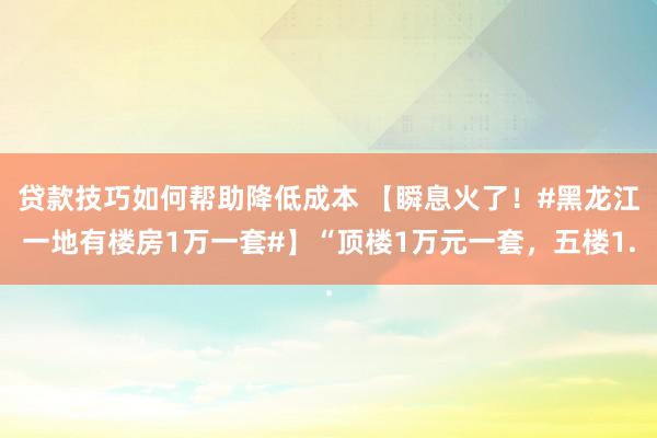 贷款技巧如何帮助降低成本 【瞬息火了！#黑龙江一地有楼房1万一套#】“顶楼1万元一套，五楼1.