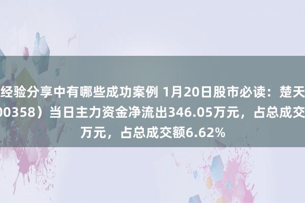 经验分享中有哪些成功案例 1月20日股市必读：楚天科技（300358）当日主力资金净流出346.05万元，占总成交额6.62%