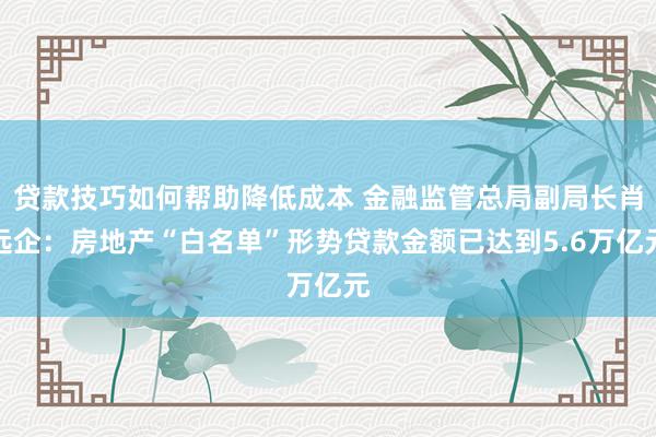 贷款技巧如何帮助降低成本 金融监管总局副局长肖远企：房地产“白名单”形势贷款金额已达到5.6万亿元