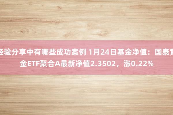 经验分享中有哪些成功案例 1月24日基金净值：国泰黄金ETF聚合A最新净值2.3502，涨0.22%