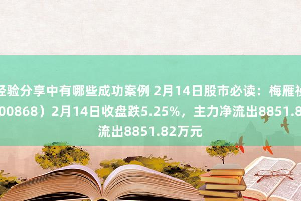 经验分享中有哪些成功案例 2月14日股市必读：梅雁祯祥（600868）2月14日收盘跌5.25%，主力净流出8851.82万元