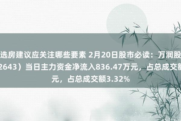 选房建议应关注哪些要素 2月20日股市必读：万润股份（002643）当日主力资金净流入836.47万元，占总成交额3.32%