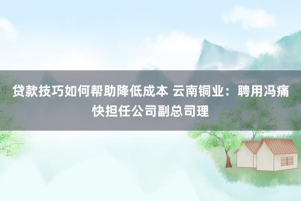 贷款技巧如何帮助降低成本 云南铜业：聘用冯痛快担任公司副总司理