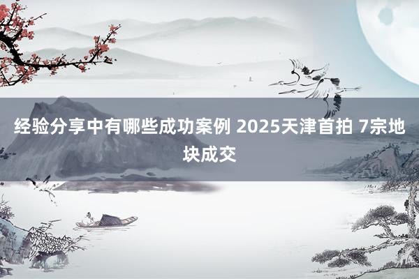 经验分享中有哪些成功案例 2025天津首拍 7宗地块成交