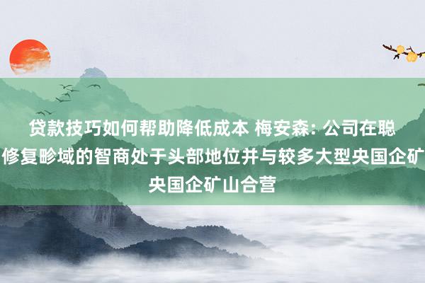 贷款技巧如何帮助降低成本 梅安森: 公司在聪惠矿山修复畛域的智商处于头部地位并与较多大型央国企矿山合营