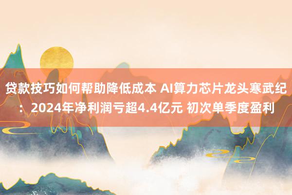 贷款技巧如何帮助降低成本 AI算力芯片龙头寒武纪：2024年净利润亏超4.4亿元 初次单季度盈利