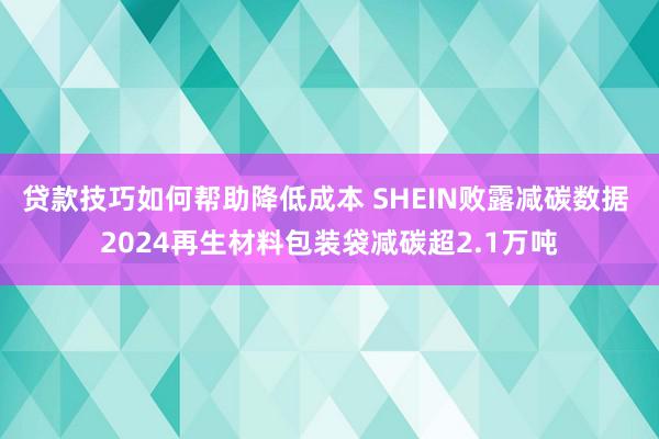 贷款技巧如何帮助降低成本 SHEIN败露减碳数据 2024再生材料包装袋减碳超2.1万吨