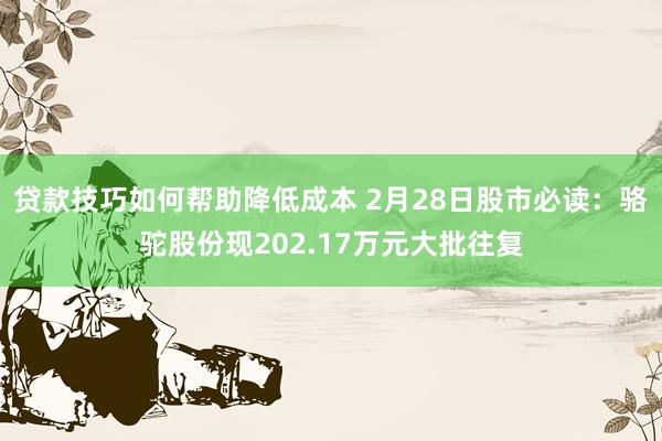 贷款技巧如何帮助降低成本 2月28日股市必读：骆驼股份现202.17万元大批往复