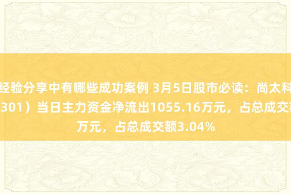 经验分享中有哪些成功案例 3月5日股市必读：尚太科技（001301）当日主力资金净流出1055.16万元，占总成交额3.04%