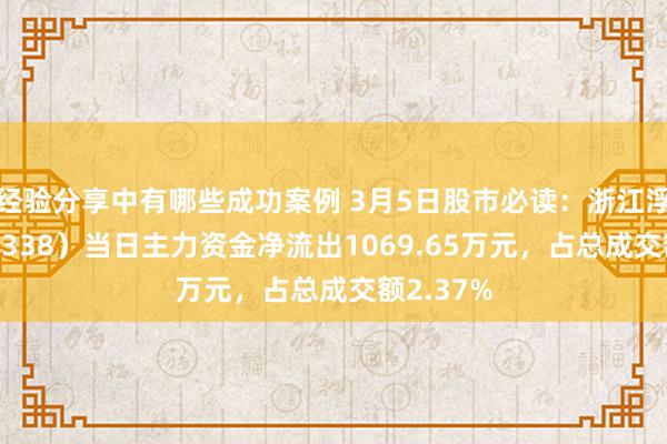 经验分享中有哪些成功案例 3月5日股市必读：浙江浮松（603338）当日主力资金净流出1069.65万元，占总成交额2.37%