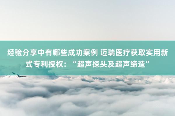 经验分享中有哪些成功案例 迈瑞医疗获取实用新式专利授权：“超声探头及超声缔造”