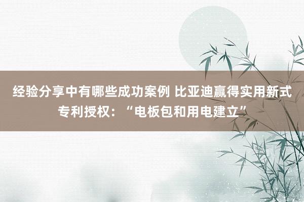 经验分享中有哪些成功案例 比亚迪赢得实用新式专利授权：“电板包和用电建立”