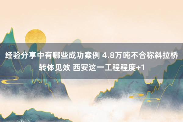 经验分享中有哪些成功案例 4.8万吨不合称斜拉桥转体见效 西安这一工程程度+1